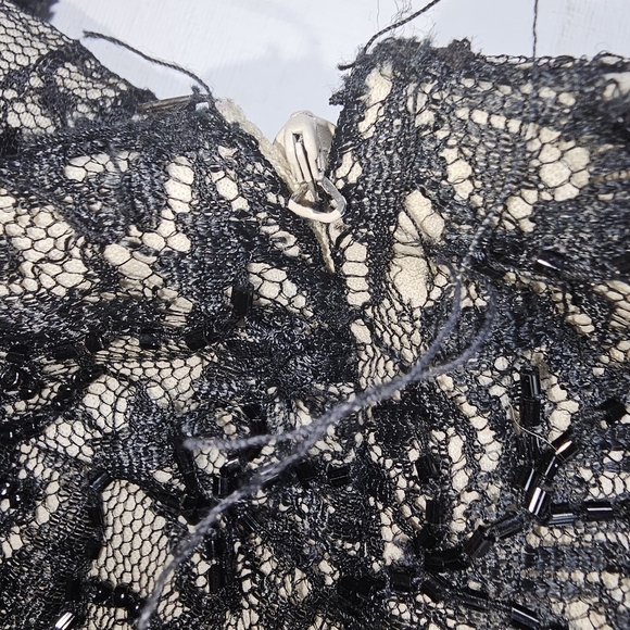 Stenay beaded and lace pants with nudes lining. Size 6. Back zip. - Picture 9 of 11